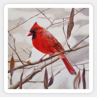 Northern Cardinal with Leaves painting Sticker